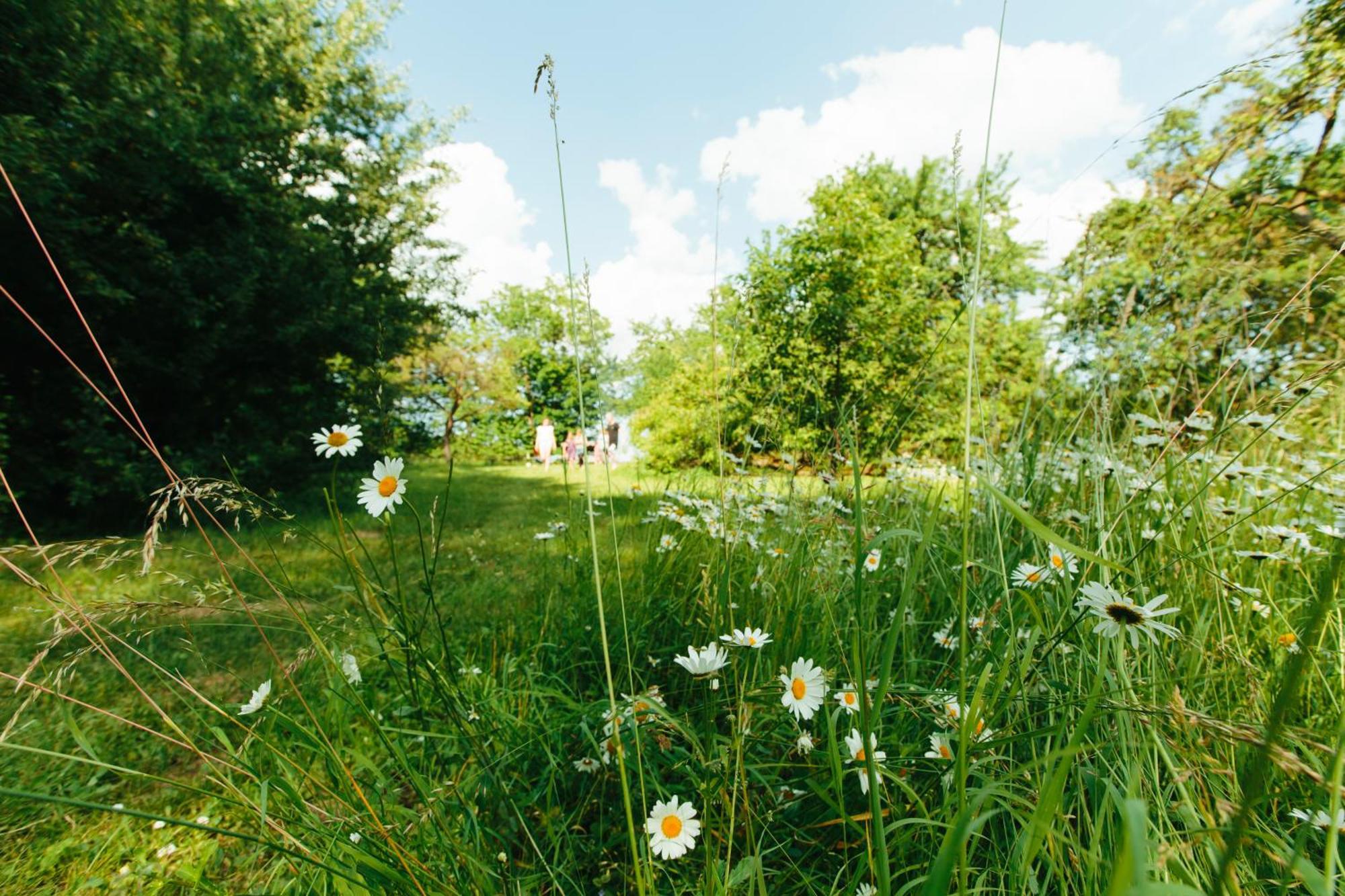 Feriendomizil Alter Garten Temmen-Ringenwalde Exteriér fotografie