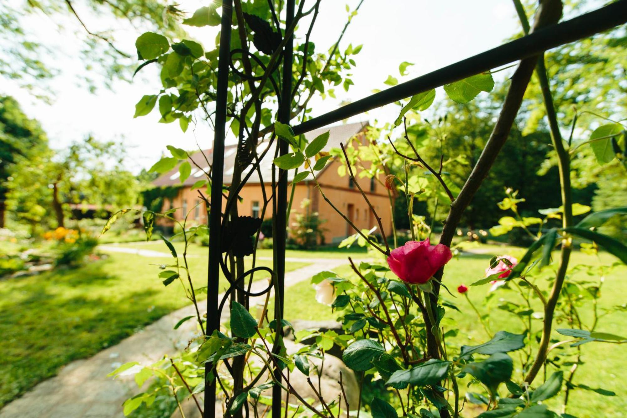 Feriendomizil Alter Garten Temmen-Ringenwalde Exteriér fotografie
