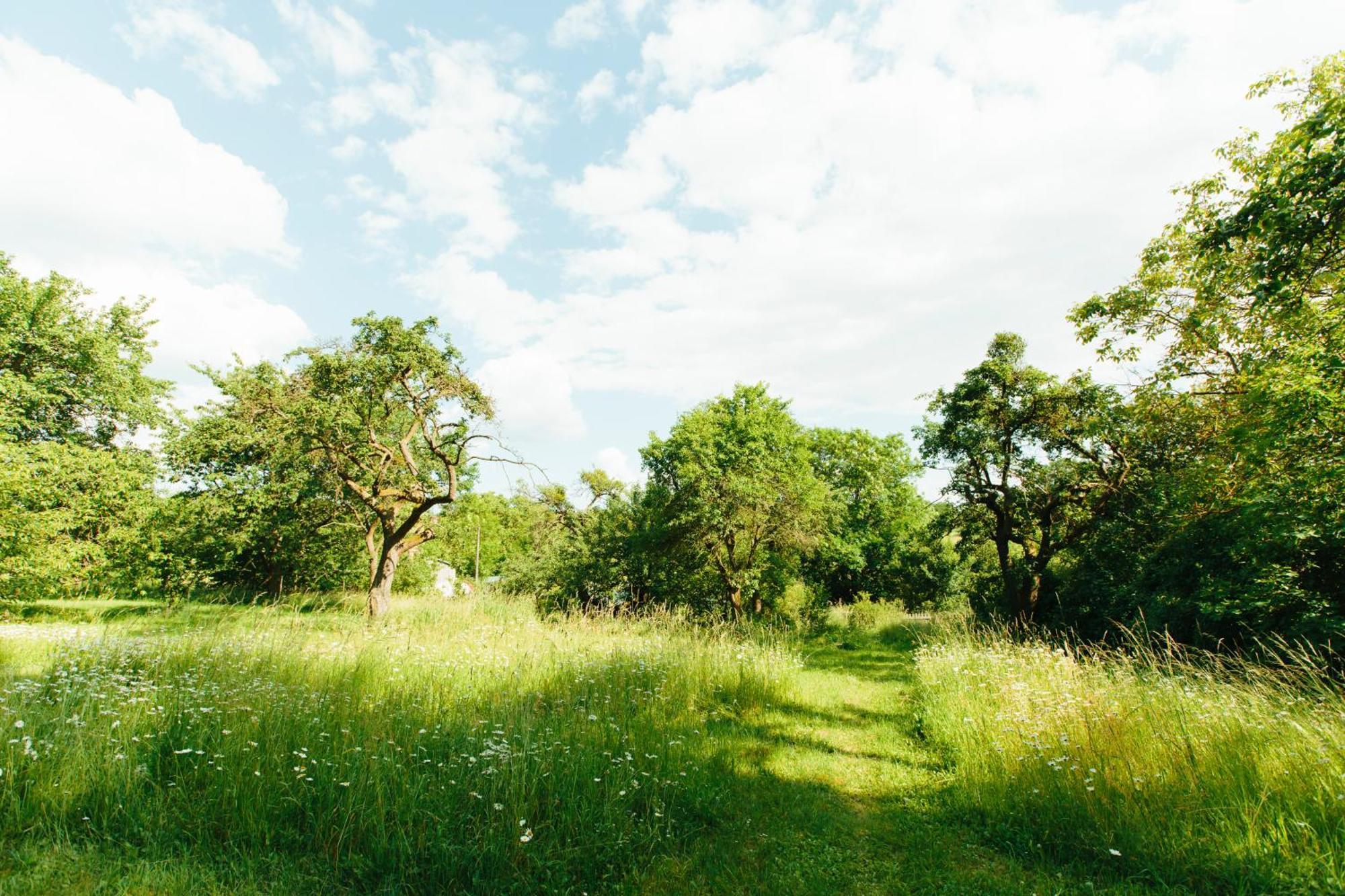 Feriendomizil Alter Garten Temmen-Ringenwalde Exteriér fotografie