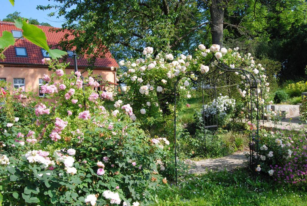 Feriendomizil Alter Garten Temmen-Ringenwalde Exteriér fotografie